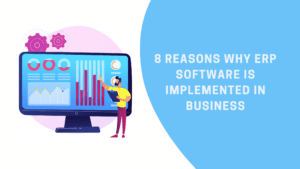 why do we need erp software